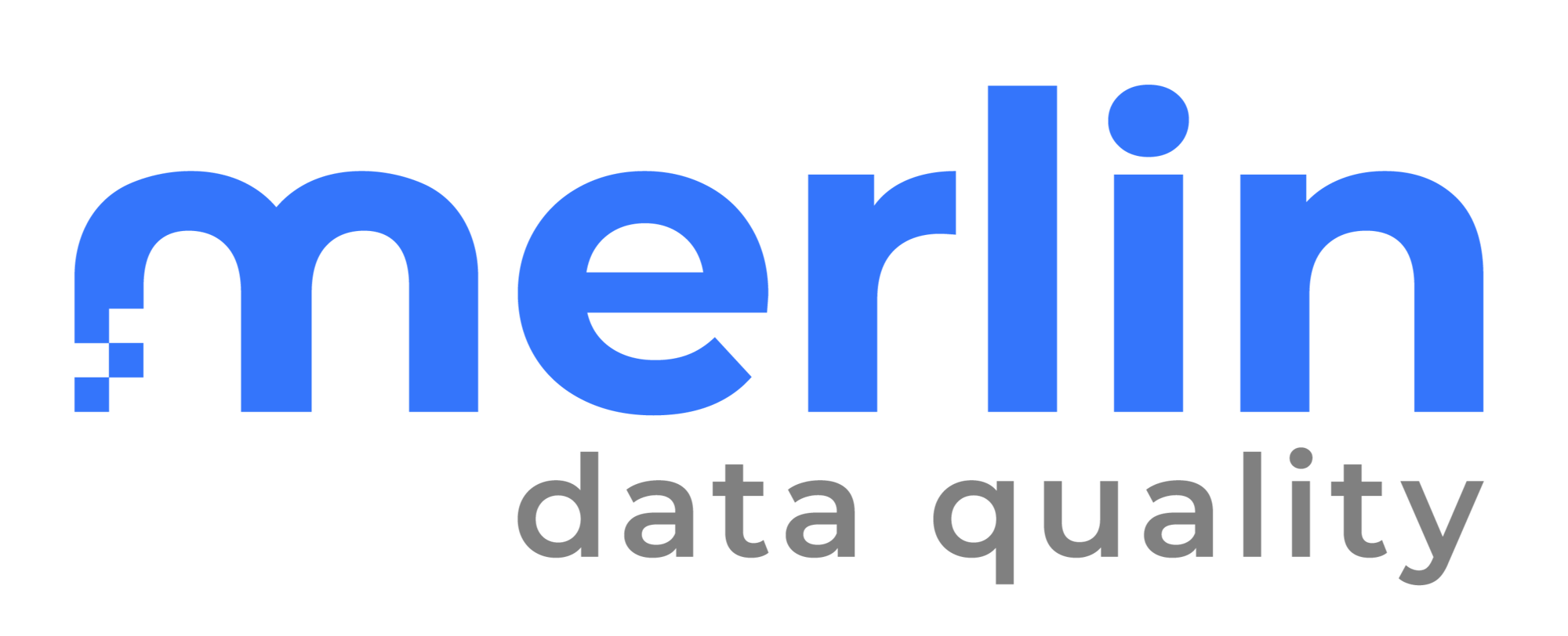 Logo Merlin Data Quality (8)-1